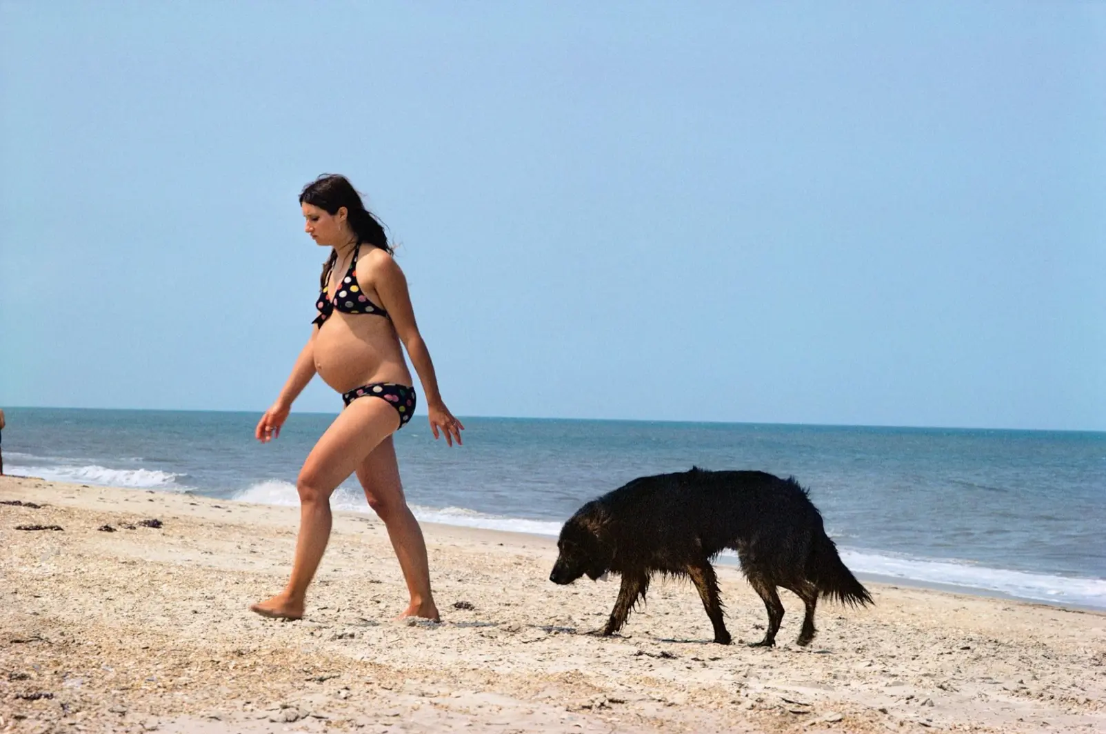 Joel Sternfeld, Nags Head, North Carolina, (#8), June-August 1975, 1975