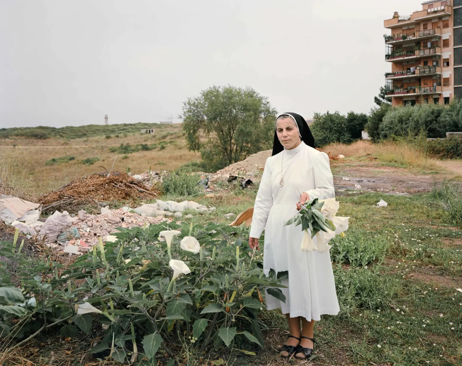 Joel Sternfeld, Picking angel’s trumpets behind a convent, Via M. Bartoli, Rome, September 1990, 1990
