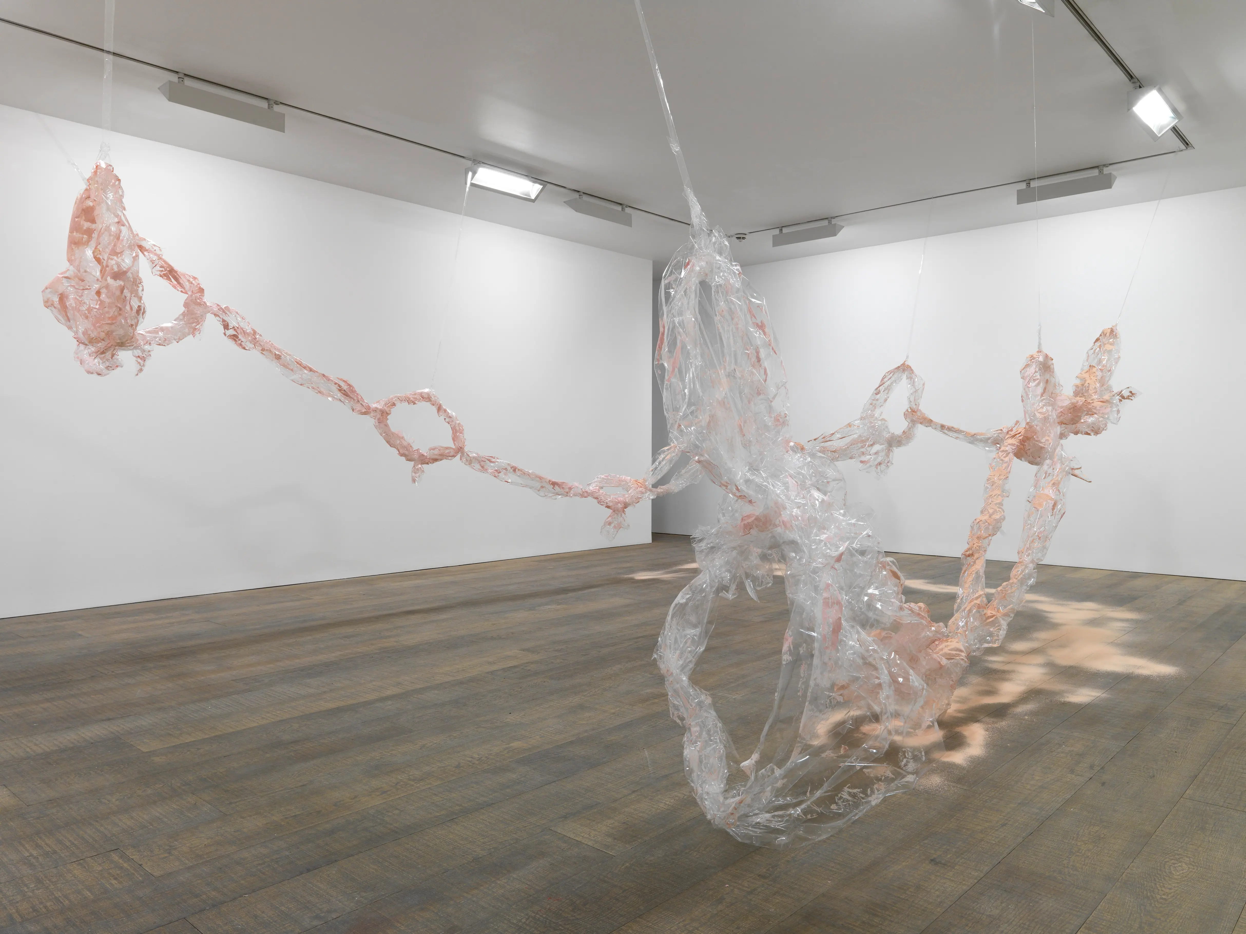 Karla Black, Make Yourself Necessary, 2012