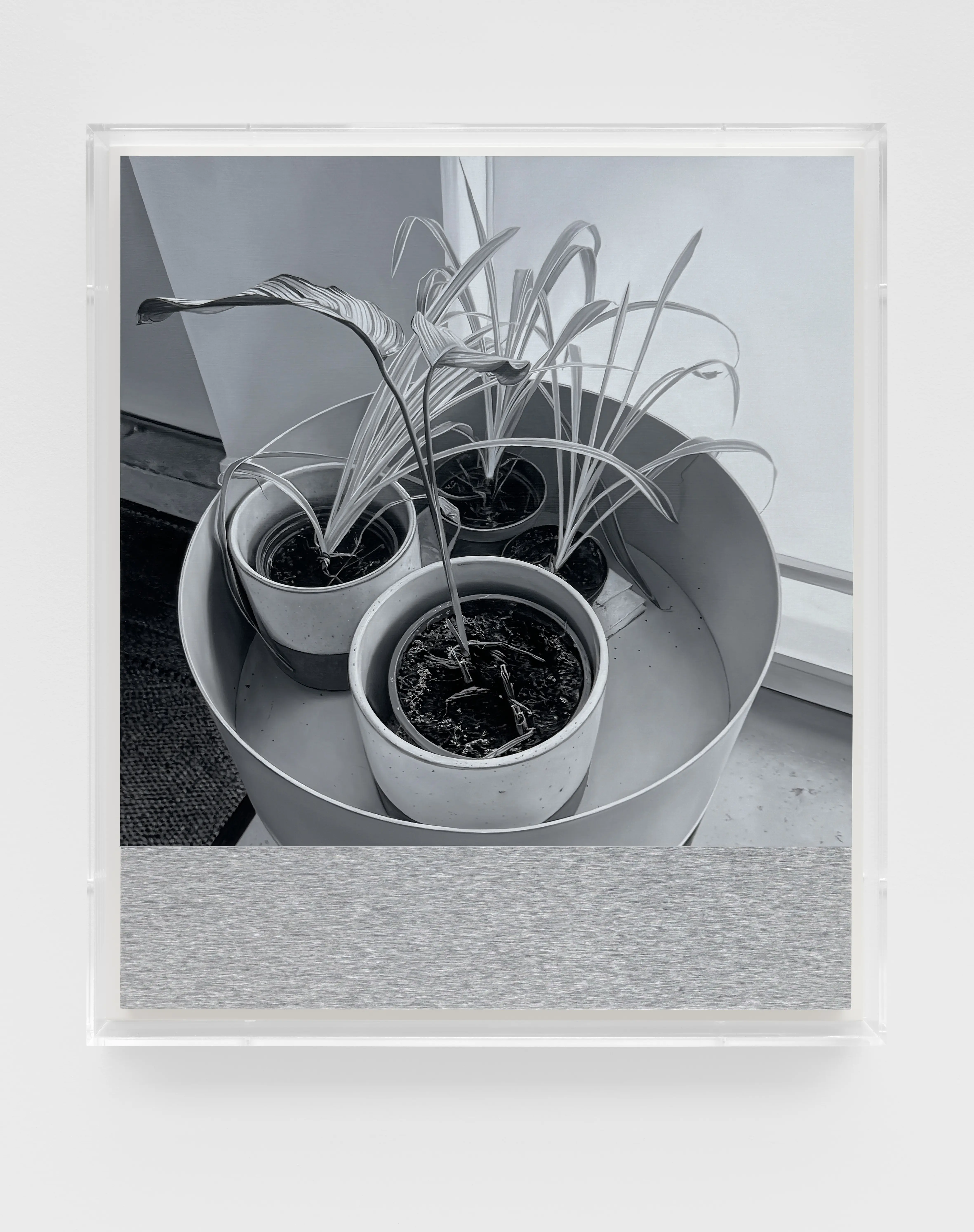 James White, H.P. 10, 2024