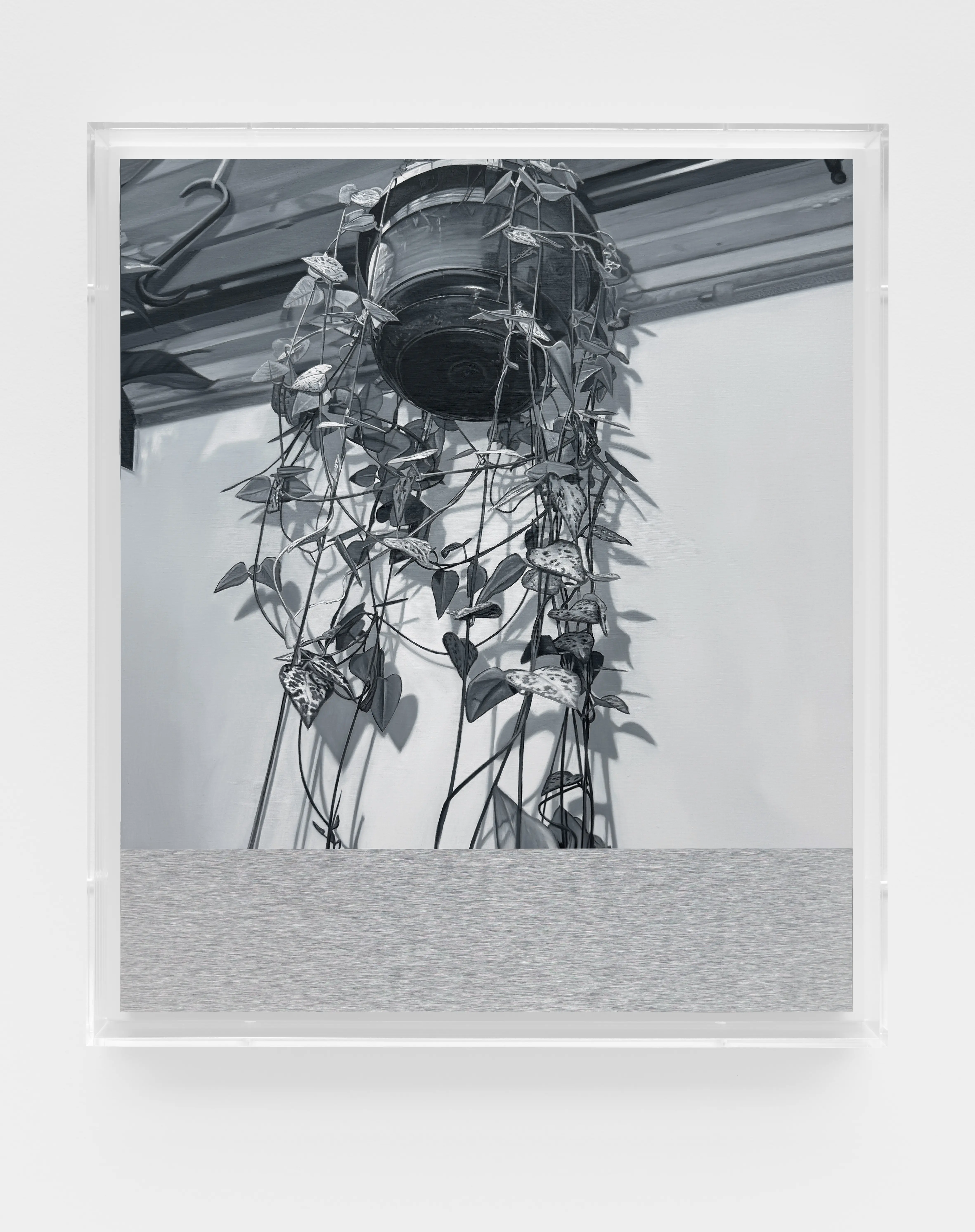 James White, H.P. 15, 2024