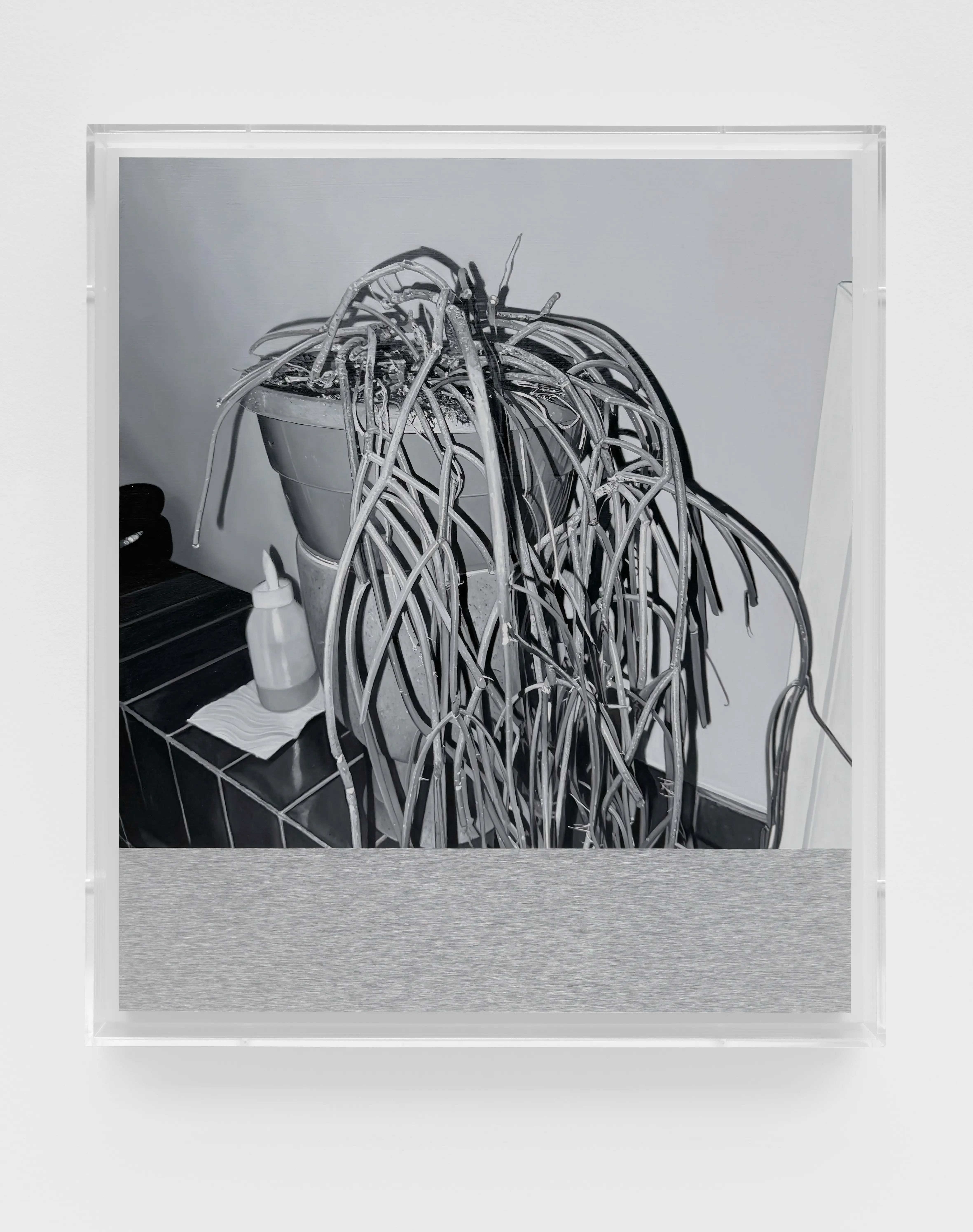 James White, H.P. 18, 2024