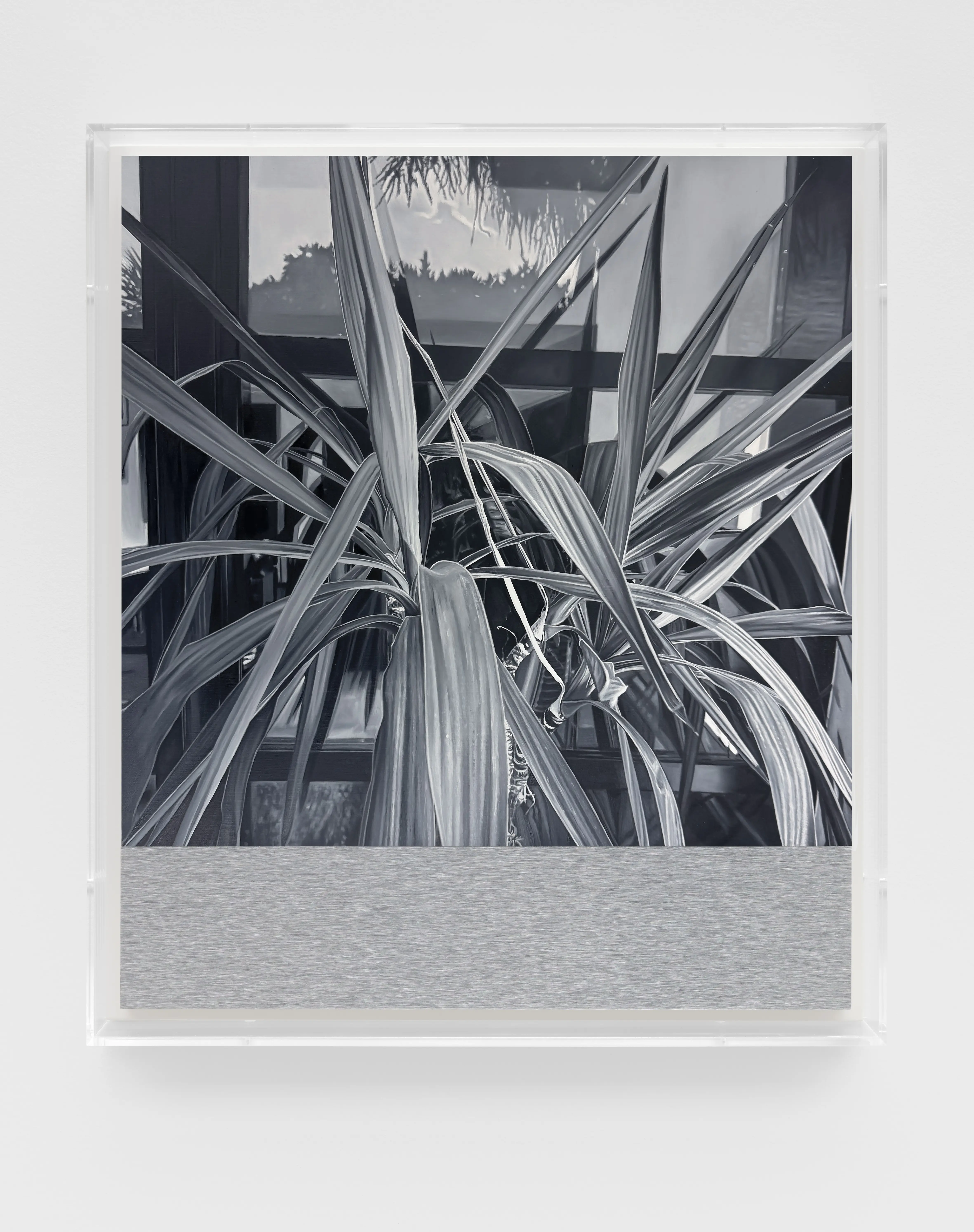 James White, H.P. 20, 2024